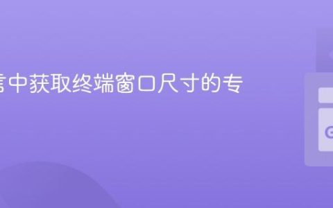 Go语言中获取终端窗口尺寸的专业指南