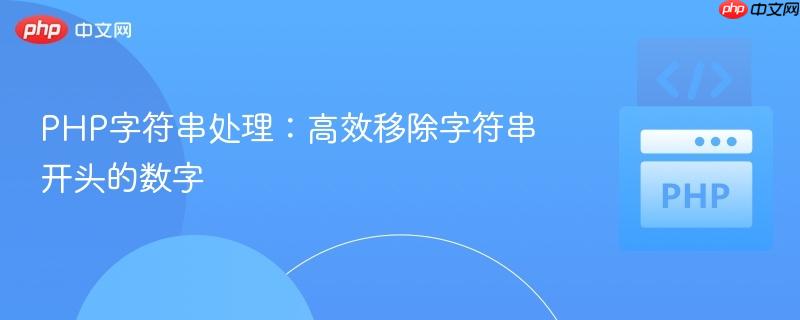 PHP字符串处理:高效移除字符串开头的数字