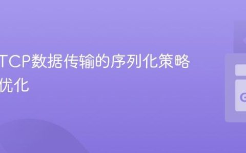 跨平台TCP数据传输的序列化策略与性能优化