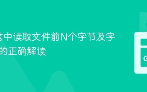 Go语言中读取文件前N个字节及字节数组的正确解读