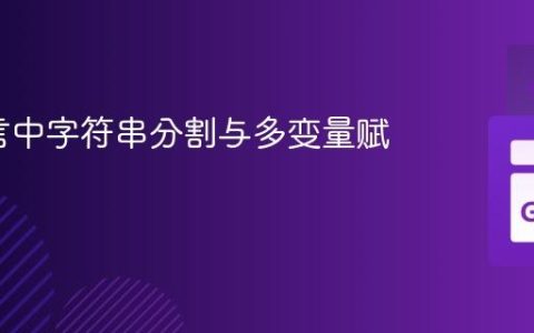 Go语言中字符串分割与多变量赋值实践