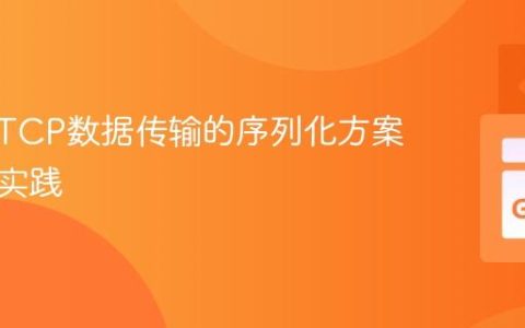 跨平台TCP数据传输的序列化方案选择与实践