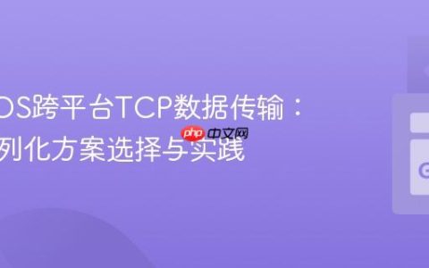 Go与iOS跨平台TCP数据传输：高效序列化方案选择与实践