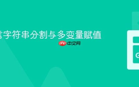 Go语言字符串分割与多变量赋值教程
