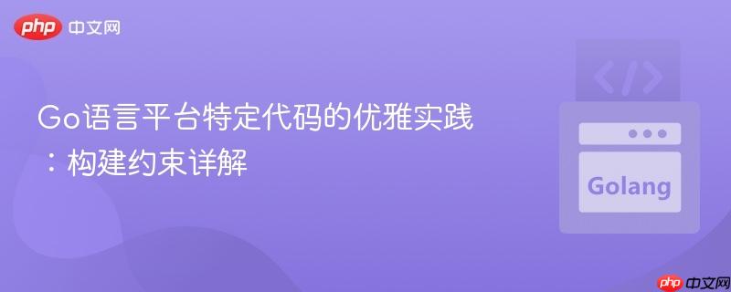 Go语言平台特定代码的优雅实践:构建约束详解