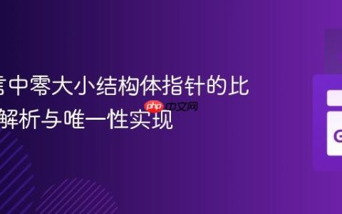Go语言中零大小结构体指针的比较行为解析与唯一性实现