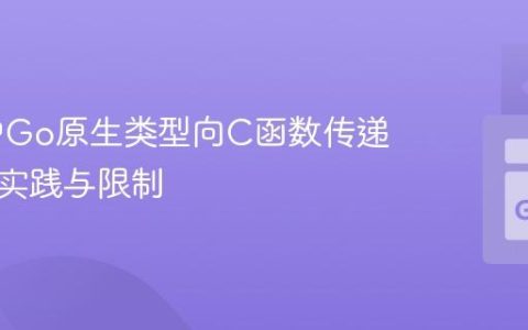 CGo中Go原生类型向C函数传递的最佳实践与限制