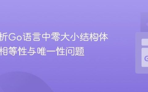 深入解析Go语言中零大小结构体指针的相等性与唯一性问题