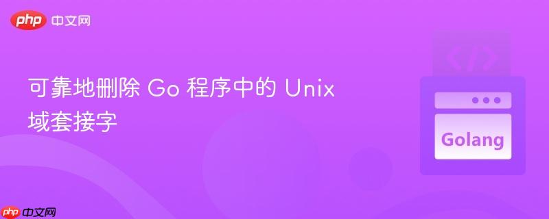 可靠地删除 go 程序中的 unix 域套接字