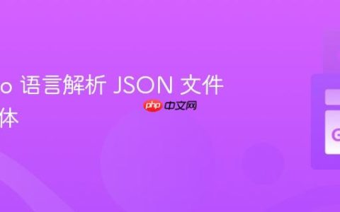 使用 Go 语言解析 JSON 文件到结构体