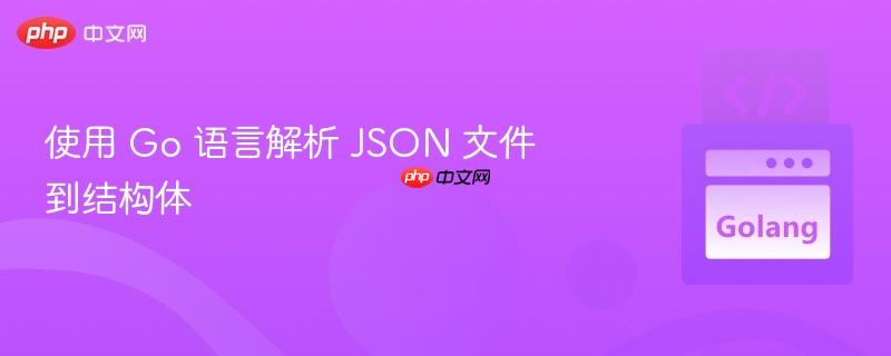使用 go 语言解析 json 文件到结构体