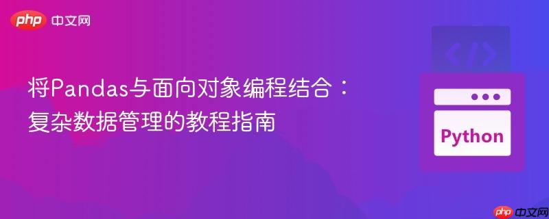 将Pandas与面向对象编程结合:复杂数据管理的教程指南