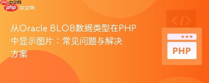 从Oracle BLOB数据类型在PHP中显示图片:常见问题与解决方案