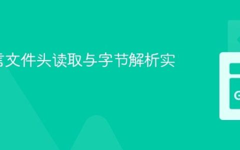 Go语言文件头读取与字节解析实践