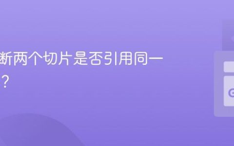 如何判断两个切片是否引用同一块内存？