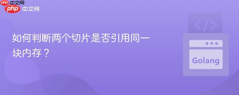 如何判断两个切片是否引用同一块内存?