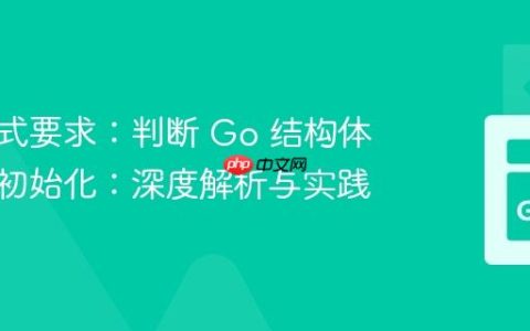 输出格式要求：判断 Go 结构体是否已初始化：深度解析与实践