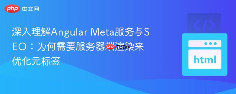 深入理解Angular Meta服务与SEO:为何需要服务器端渲染来优化元标签