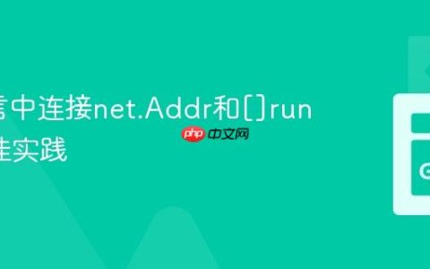 Go语言中连接net.Addr和[]rune的最佳实践
