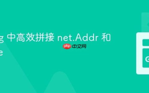 Golang 中高效拼接 net.Addr 和 []rune