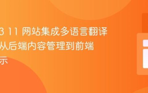 TYPO3 11 网站集成多语言翻译策略：从后端内容管理到前端动态展示