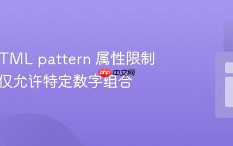 使用 HTML pattern 属性限制输入：仅允许特定数字组合