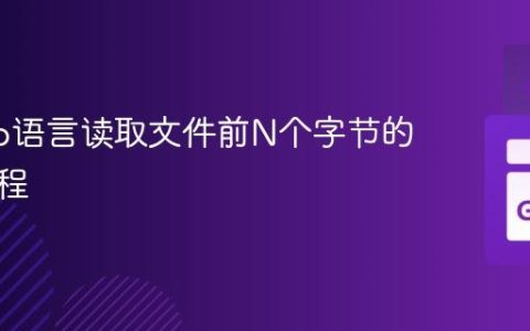 使用Go语言读取文件前N个字节的实用教程