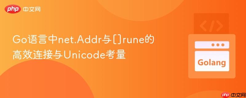 Go语言中net.Addr与[]rune的高效连接与Unicode考量