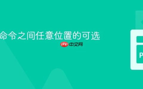允许子命令之间任意位置的可选参数