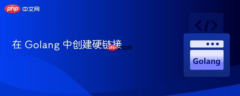 在 golang 中创建硬链接