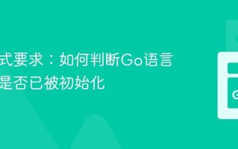 输出格式要求：如何判断Go语言结构体是否已被初始化