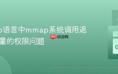 解决Go语言中mmap系统调用返回零容量的权限问题