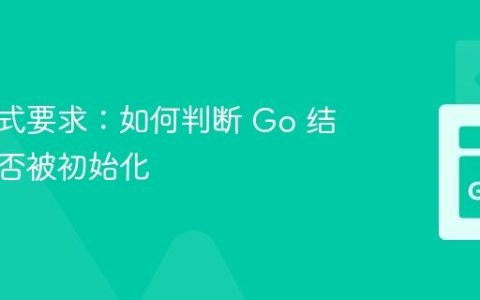 输出格式要求：如何判断 Go 结构体是否被初始化