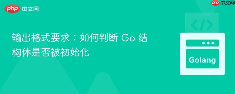 输出格式要求:如何判断 go 结构体是否被初始化