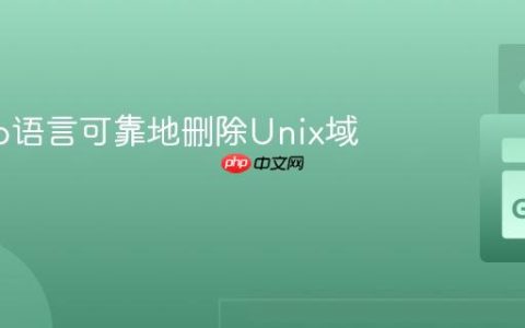 使用Go语言可靠地删除Unix域套接字