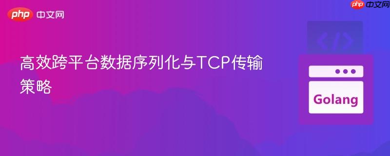 高效跨平台数据序列化与TCP传输策略