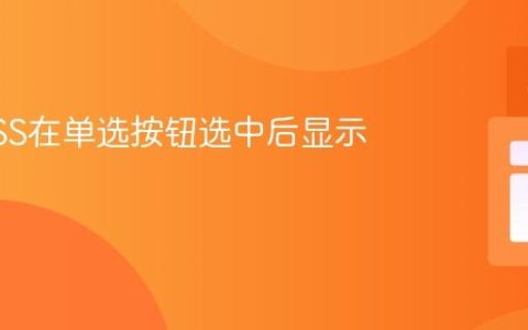 使用CSS在单选按钮选中后显示文本