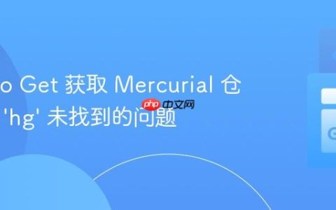 解决 Go Get 获取 Mercurial 仓库包时 ’hg’ 未找到的问题