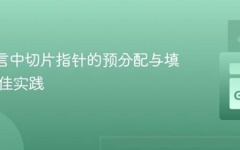 Go 语言中切片指针的预分配与填充：最佳实践