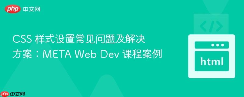 css 样式设置常见问题及解决方案:meta web dev 课程案例