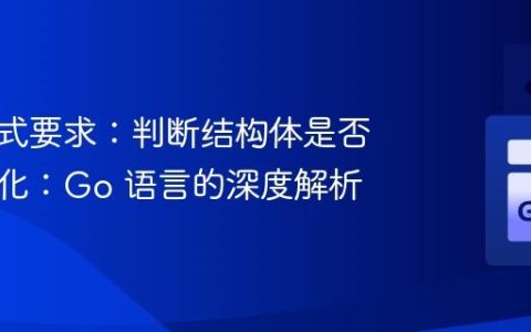 输出格式要求：判断结构体是否已初始化：Go 语言的深度解析