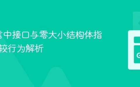 Go语言中接口与零大小结构体指针的比较行为解析