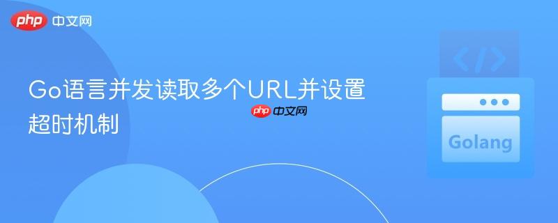 Go语言并发读取多个URL并设置超时机制