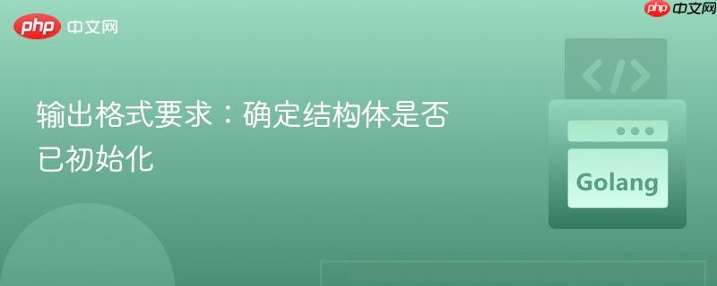 输出格式要求:确定结构体是否已初始化