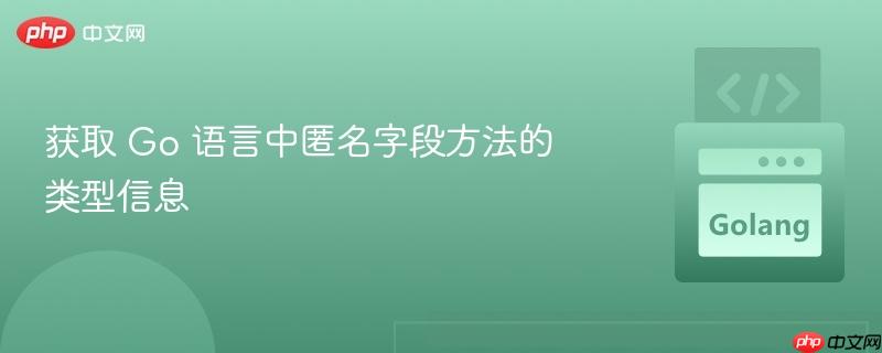 获取 go 语言中匿名字段方法的类型信息