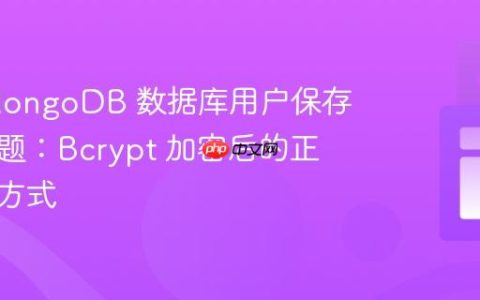 解决 MongoDB 数据库用户保存失败问题：Bcrypt 加密后的正确处理方式