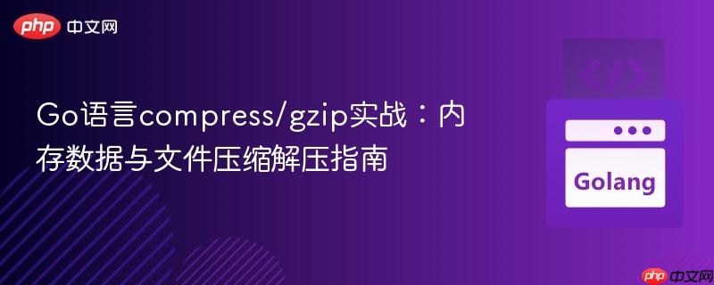 Go语言compress/gzip实战:内存数据与文件压缩解压指南