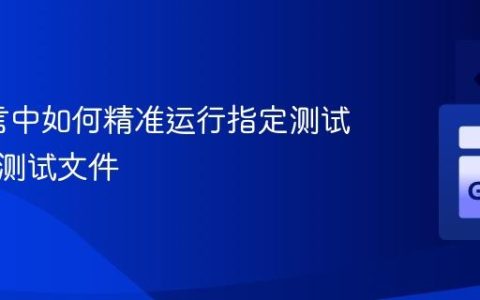Go语言中如何精准运行指定测试用例或测试文件