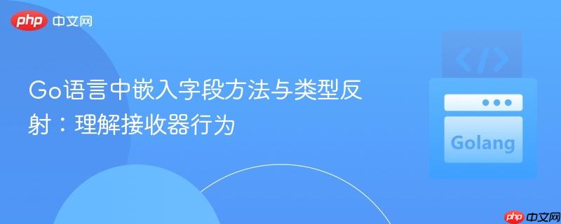 Go语言中嵌入字段方法与类型反射:理解接收器行为