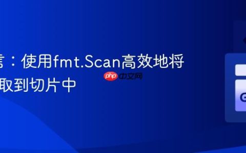 Go语言：使用fmt.Scan高效地将输入读取到切片中